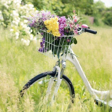 balade-velo-camargue-location-cabanon