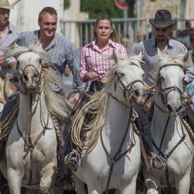 courses-chevaux-vacances-camargue