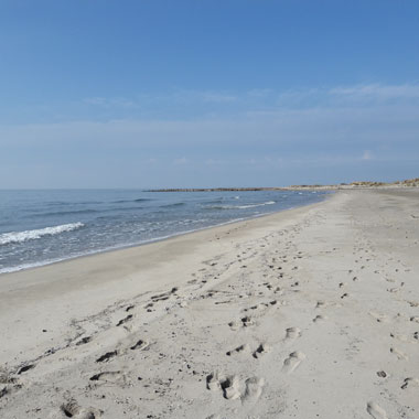 plage-camargue-vacances-mer-cote-basque-tourisme